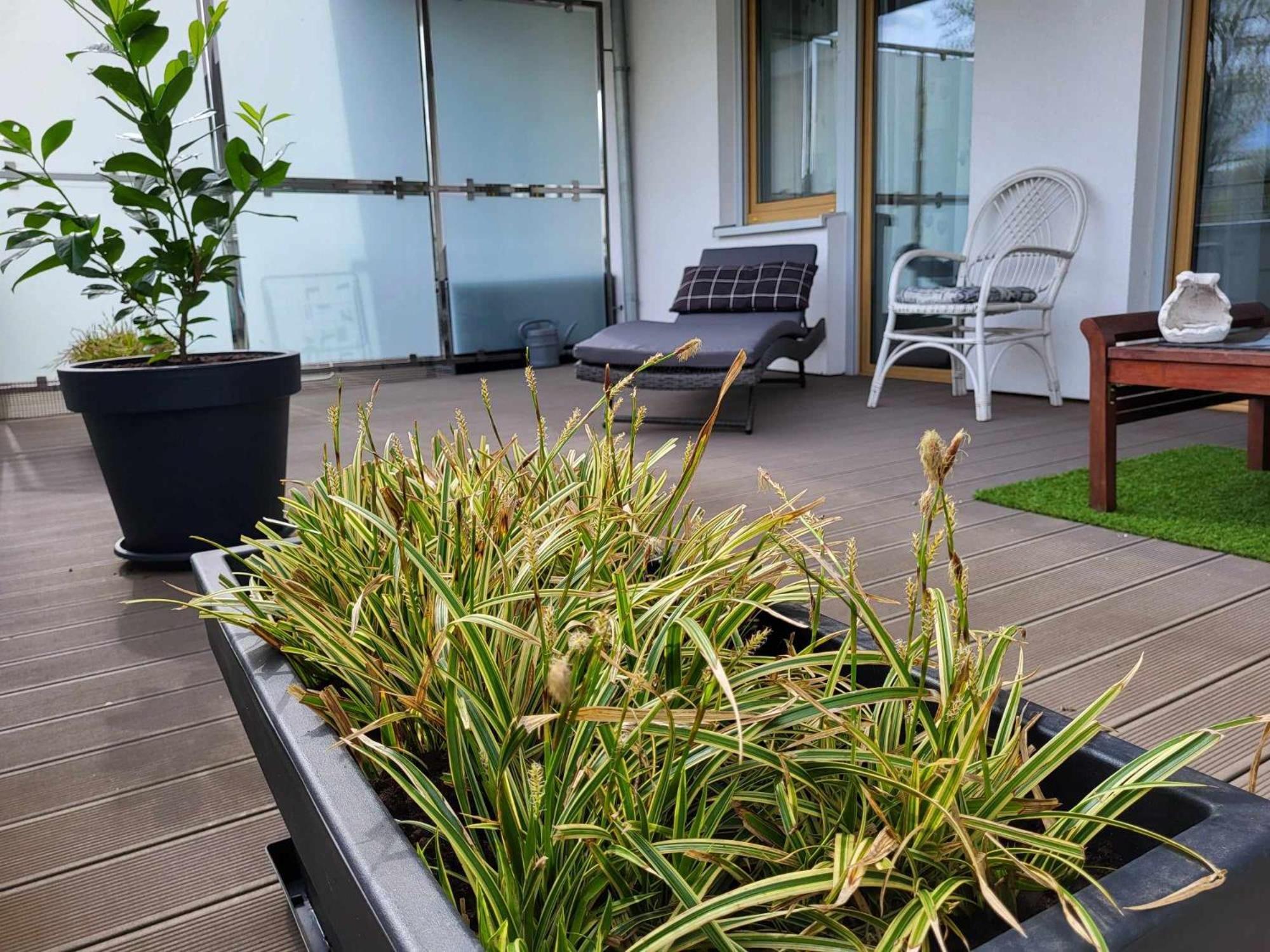 Apartment Miodowy Dom Exspanse 2 Lub 3 Z Tarasem I Parkingiem *